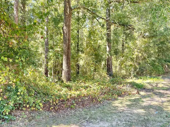 51 Steelwood Ridge Rd #51, Loxley, AL 36551