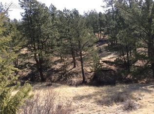 58 Irwin Dr, Florissant, CO 80816
