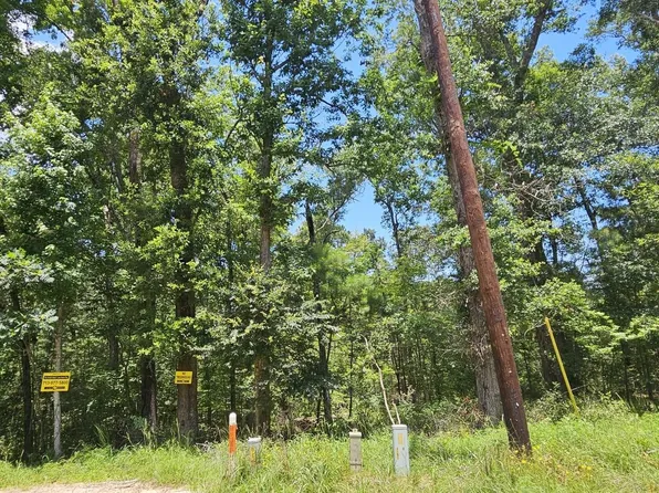 0 Harrell Rd Lot 543, Coldspring, TX 77331