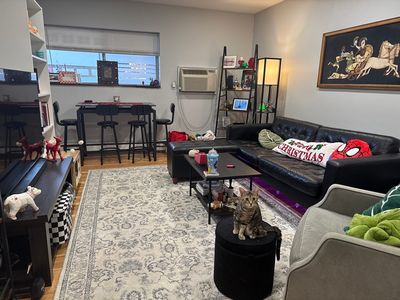 140 Kenrick St APT 5, Brighton, MA, 02135