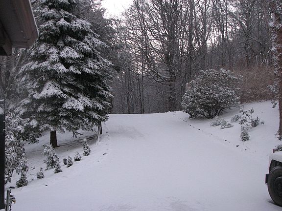 Snowy Front Yard