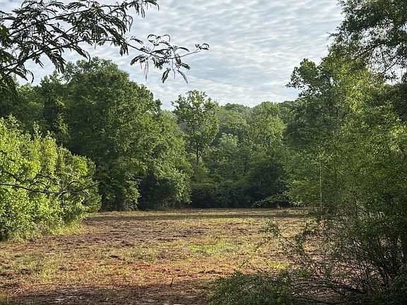 3rd image of 672-A31 Hines Rd