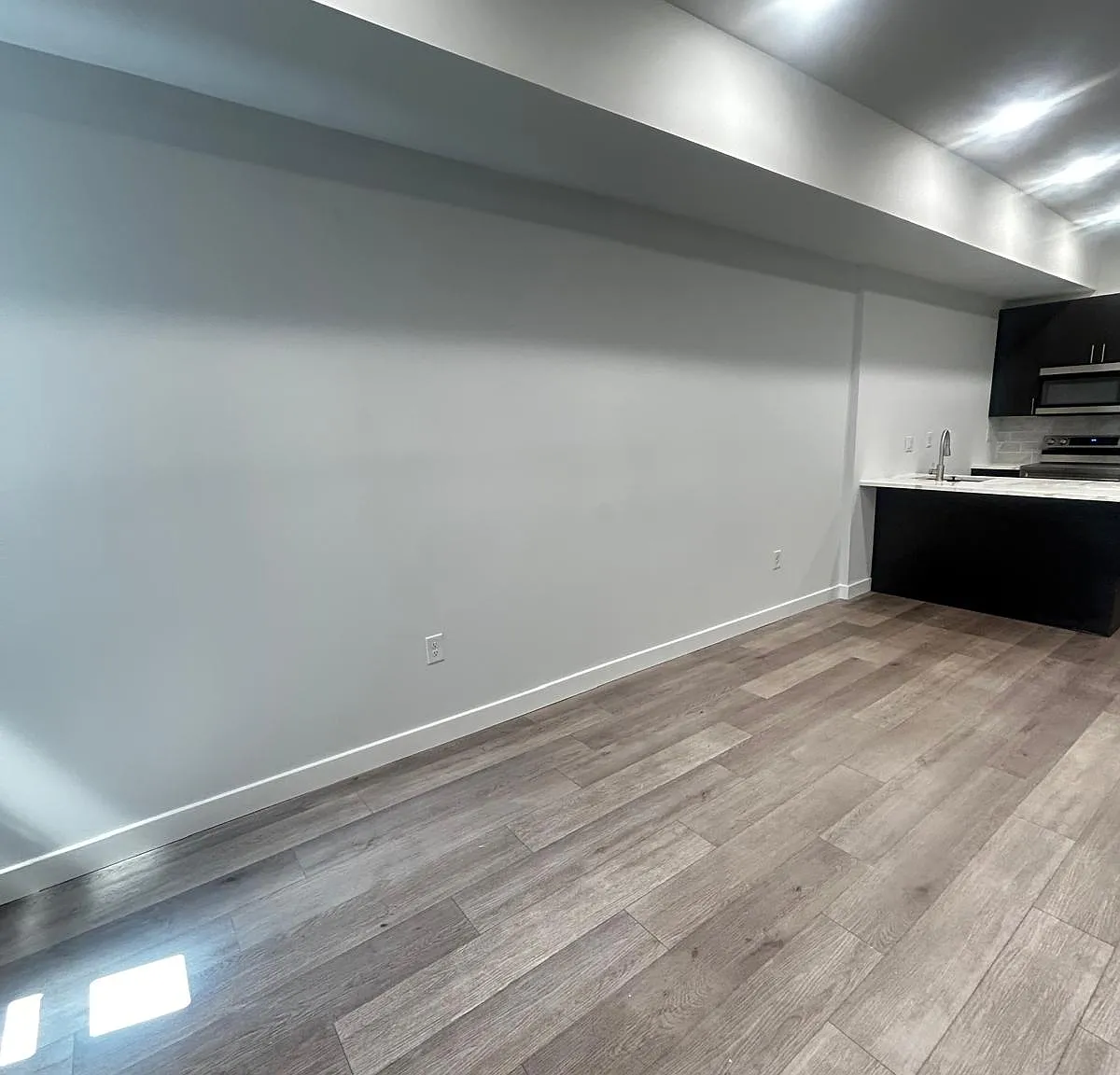 2 bed, 850 sqft, $1,650 — Photo 3