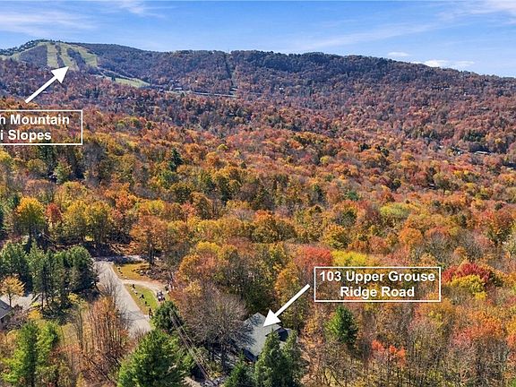 2nd image of 103 Upper Grouse Ridge Road