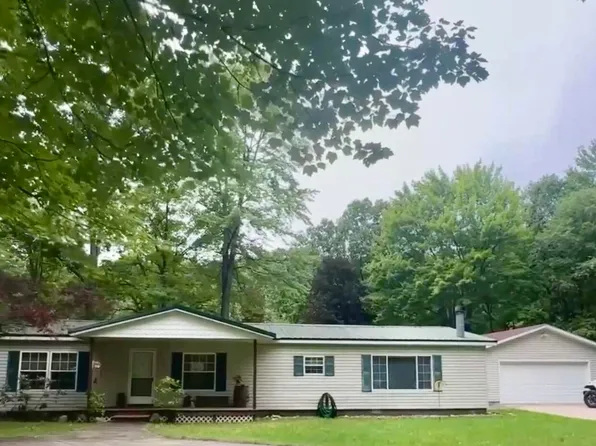 10703 N Mac Rd, Irons, MI 49644