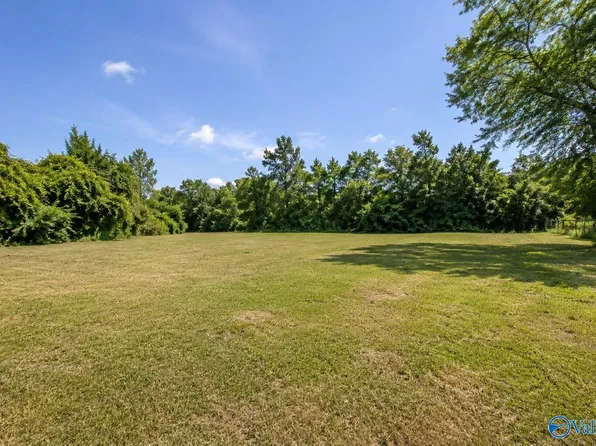 Thacker Rd, Horton, AL 35980