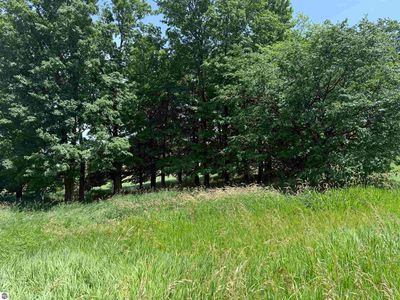 Vl S Lachance Rd, Mc Bain, MI, 49657
