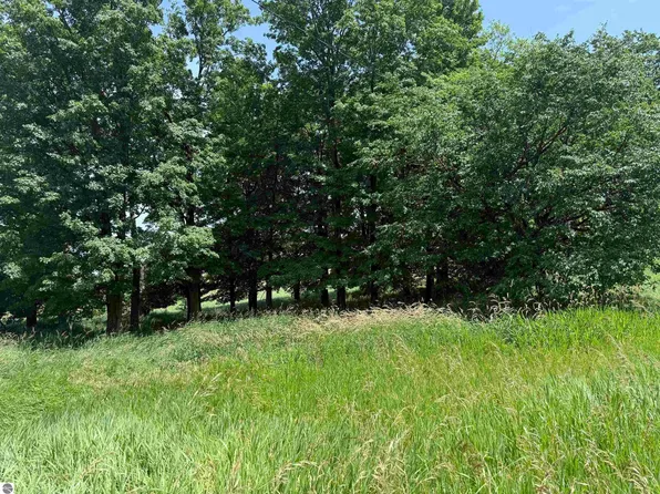 Vl S Lachance Rd, Mc Bain, MI 49657