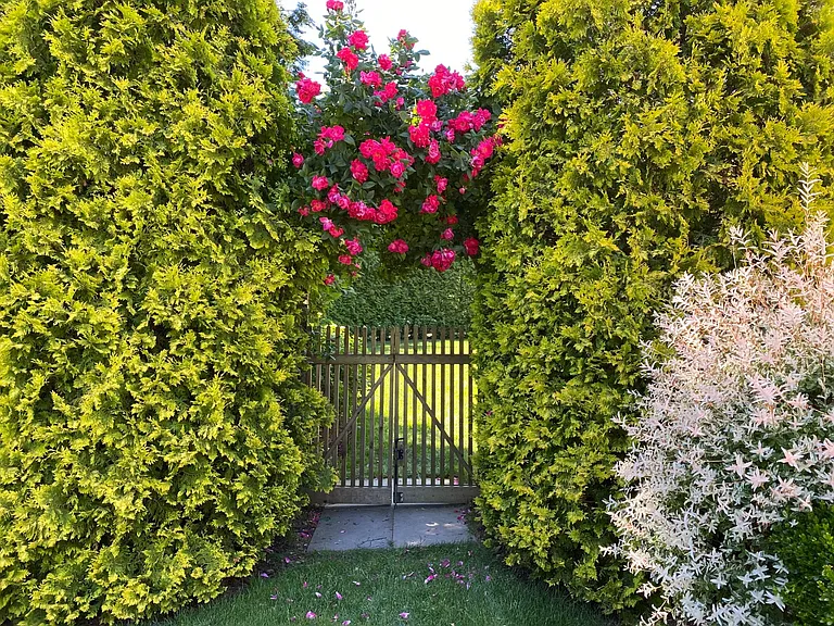 6 Wooleys Dr — Photo 20