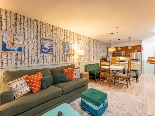 313 Rimfire Ldg, Snowshoe, WV 26209