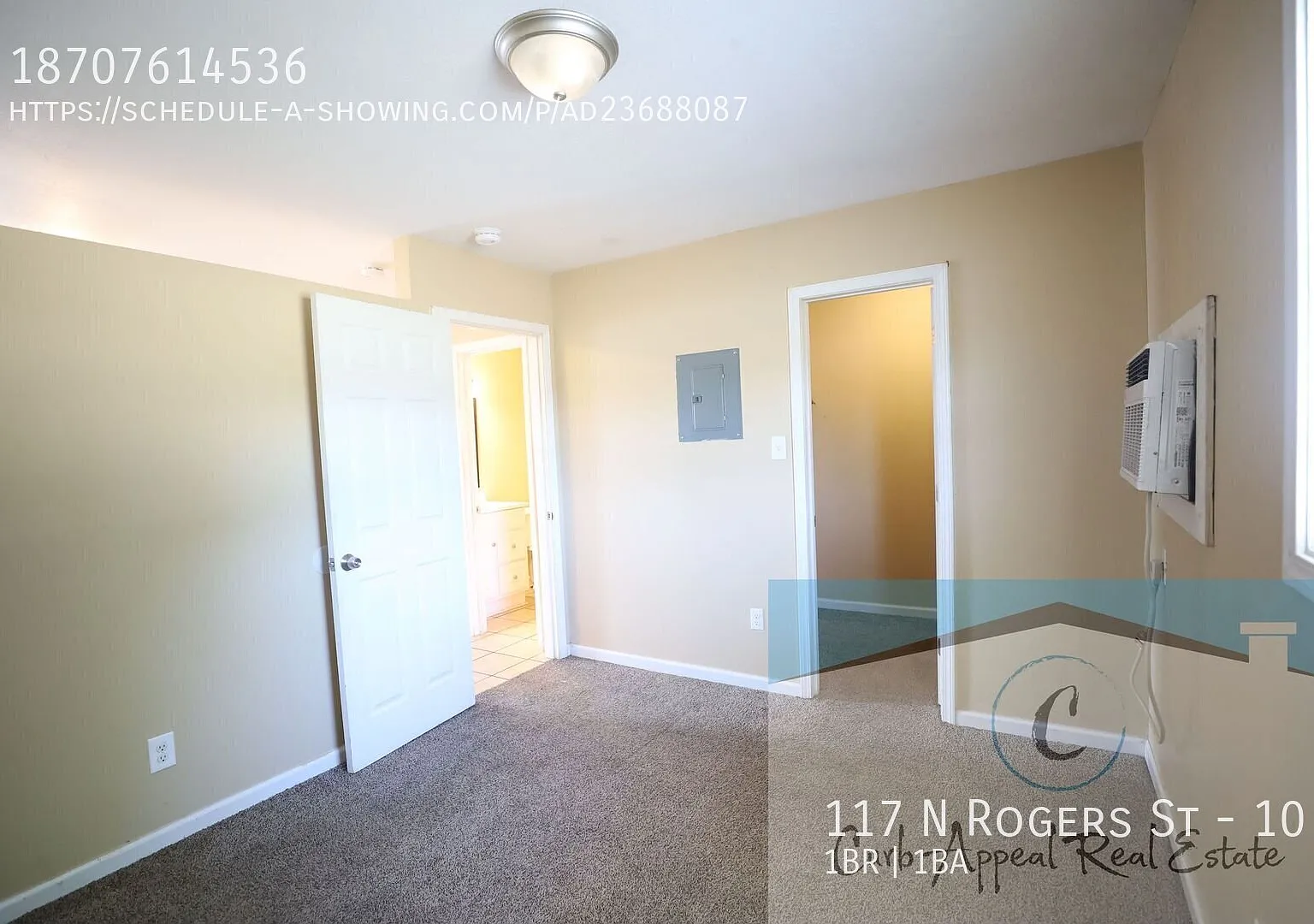 Spacious 1 bed 1 bath apt — Photo 3