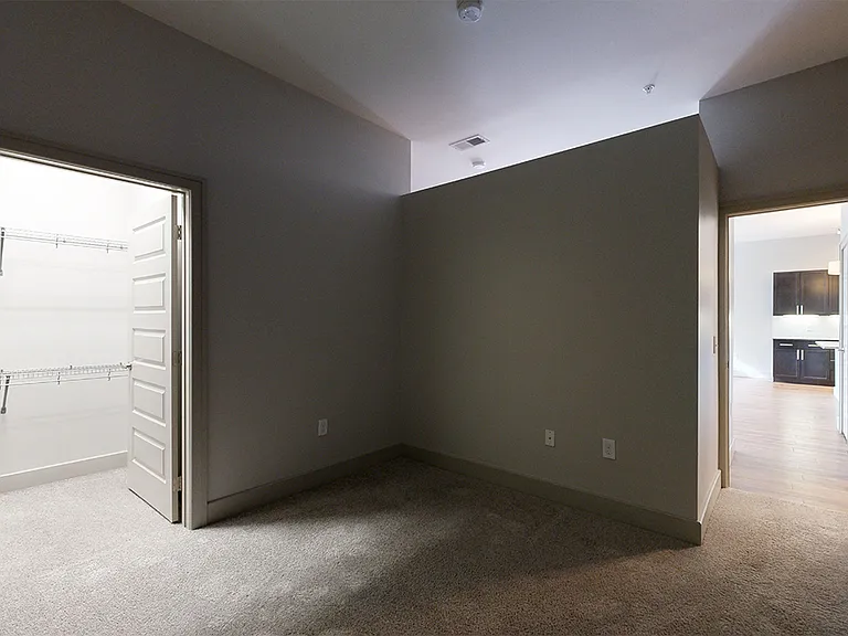 Spacious apartment bedroom with large closet and plush carpet flooring.