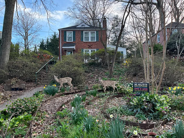 404 Mississippi Ave — Photo 5