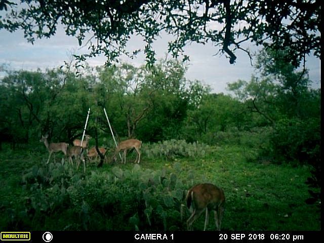 1st image of Waddell Ln
