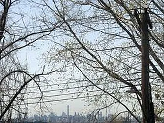 Rented by Carollo Real Estate