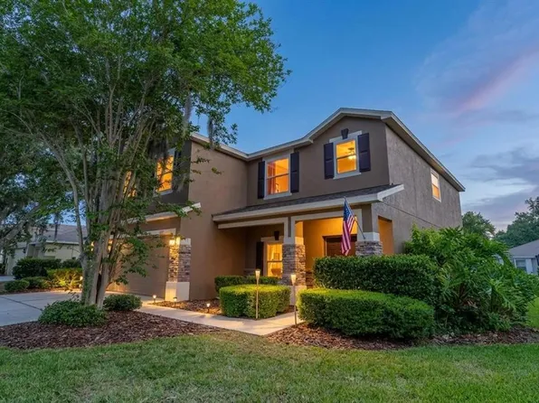 6302 Bridgevista Dr, Lithia, FL 33547