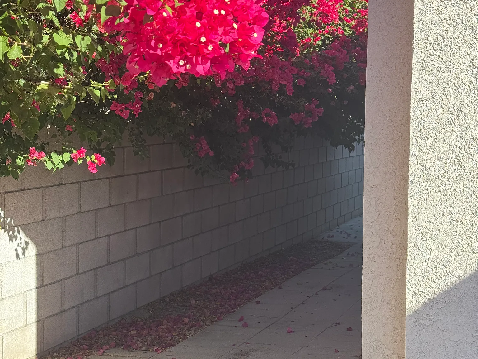 33420 Shifting Sands Trl — Photo 4