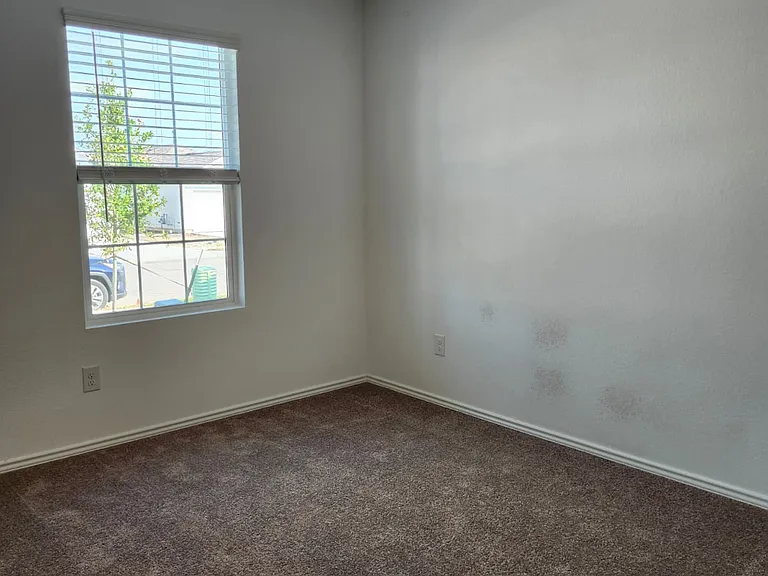 178 Northern Pintail Dr — Photo 30