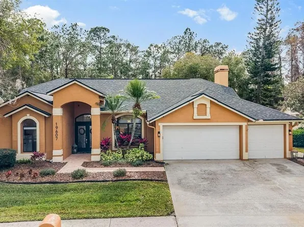 19607 Wyndham Lakes Dr, Odessa, FL 33556