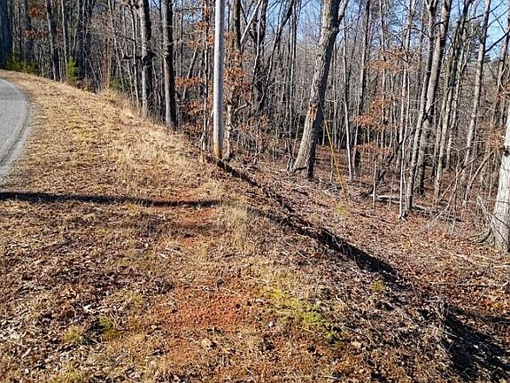 3rd image of 0 County Line Rd S