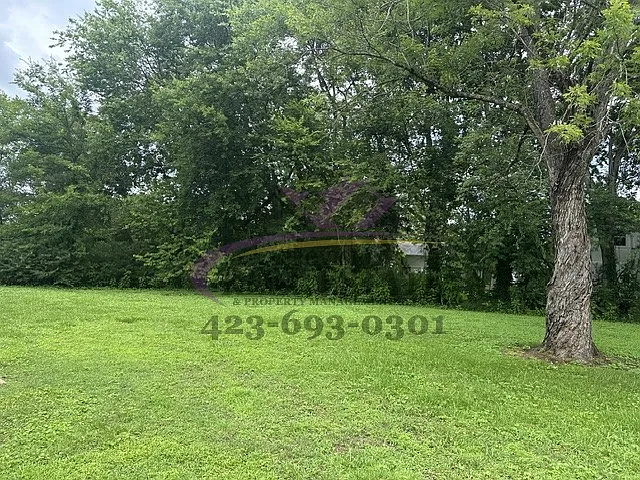 3_06092026