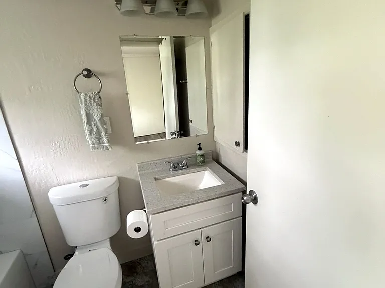 318 Chestnut St #5 — Photo 44