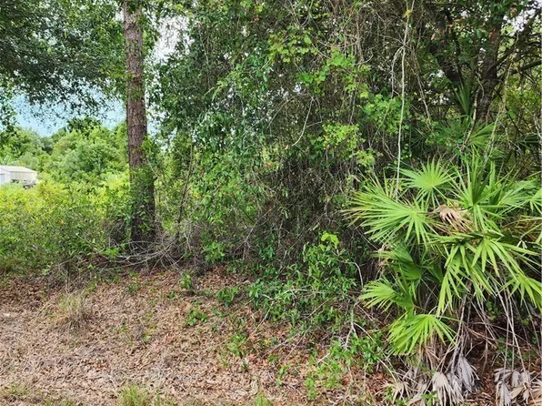 1114 McKinley Ave, Lehigh Acres, FL 33972