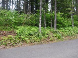 62 Edgewater Dr, Carson, WA 98610