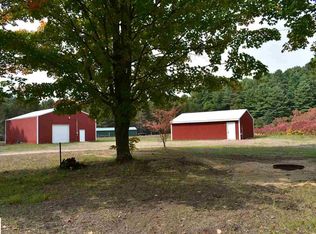 11180 N Hodenpyle Dam Rd, Mesick, MI 49668