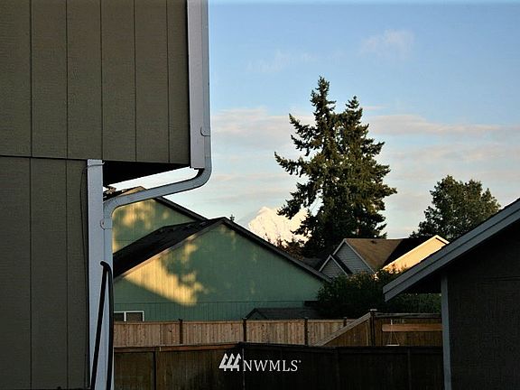 Partial View Of Mt. Rainier From The Kitchen