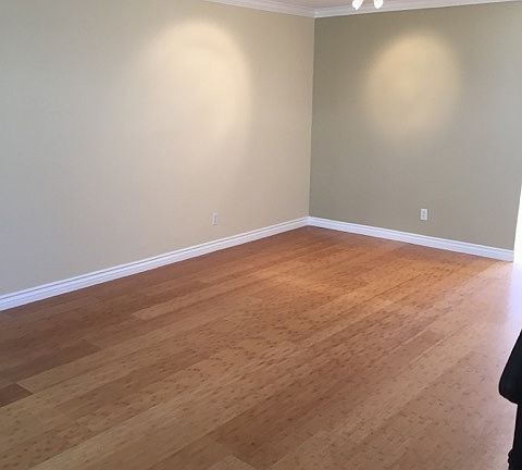 Downstairs main living area