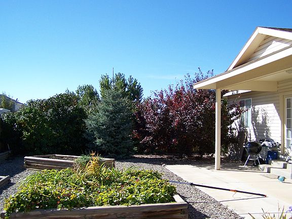 South facing back