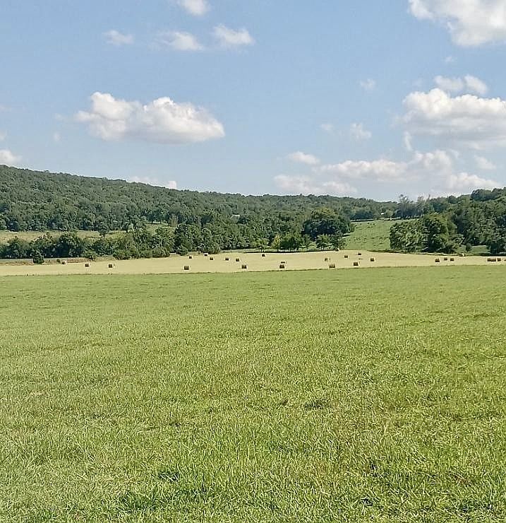 5 Mountain Gap Rd, Elora, TN 37328 MLS 2582999 Zillow