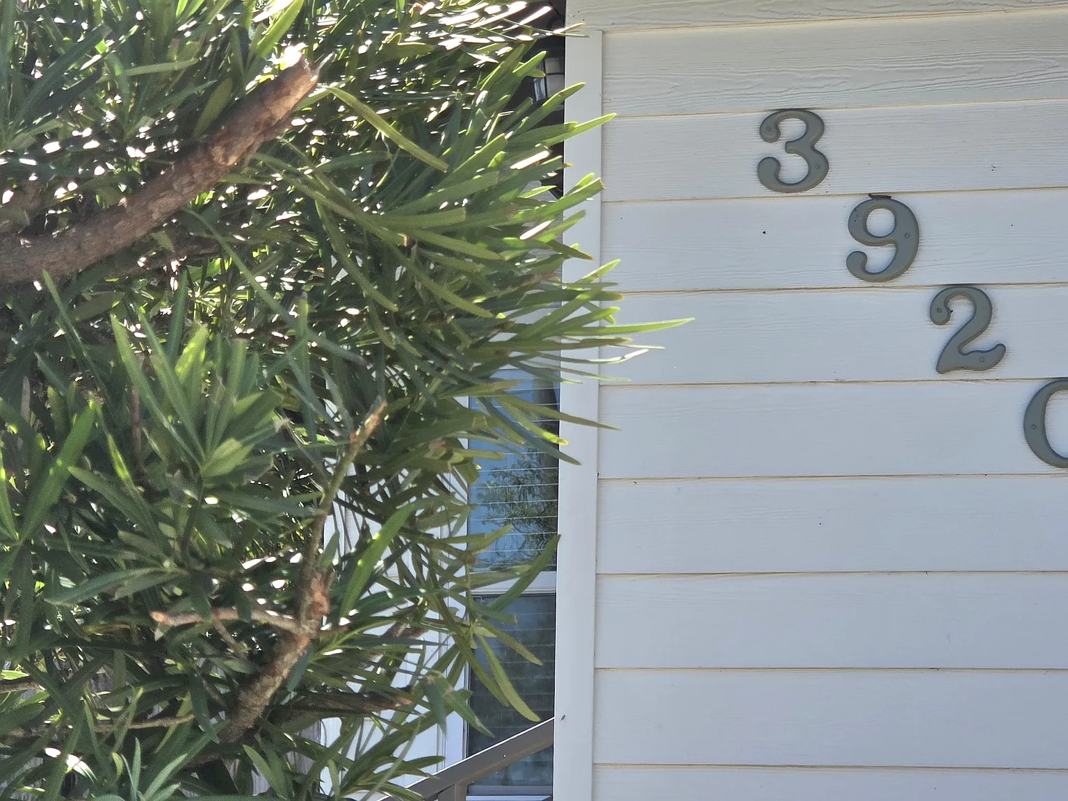 3 bed, 930 sqft, $2,200 — Photo 2