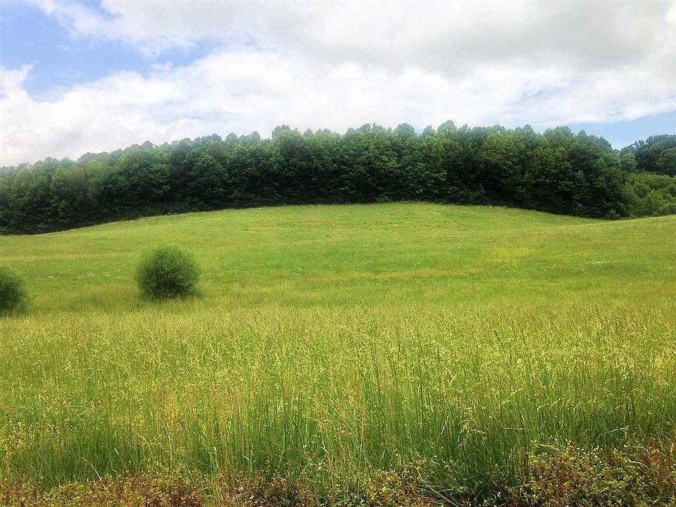 2nd image of 0 County Road 656