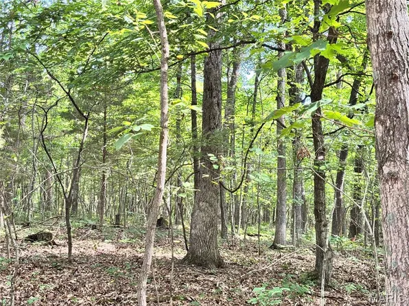 11 Spring View Ct, Marthasville, MO 63357