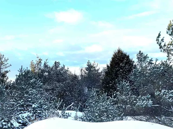 290 Harbor View Ln, Petoskey, MI 49770