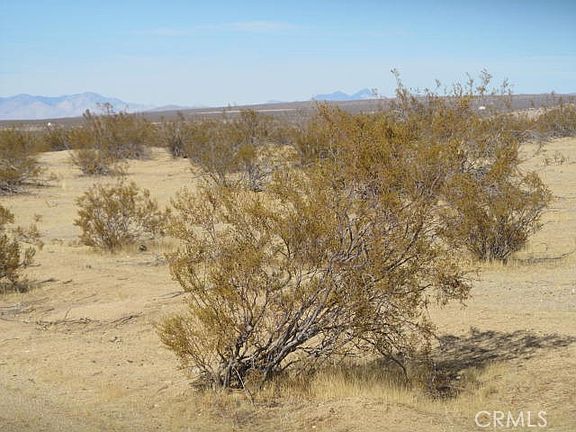 3rd image of 3107 Brown Rd