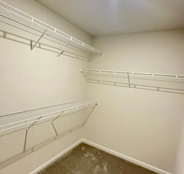 156 Calming Creek Way — Photo 23