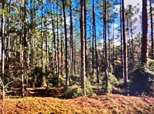 SW Barnacle Dr S LOT 22, Dunnellon, FL 34431