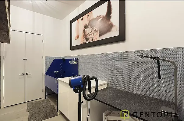 Rented by Rentopia | media 71