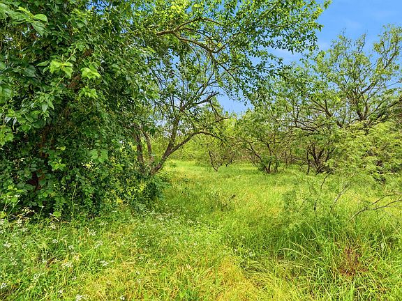 5th image of 6407 Taylorsville Rd