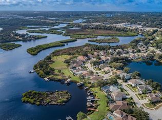 1285 Blackrush Dr, Tarpon Springs, FL 34689