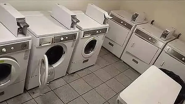 Rented by Voro Purple LLC | media 24