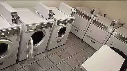 Rented by Voro Purple LLC