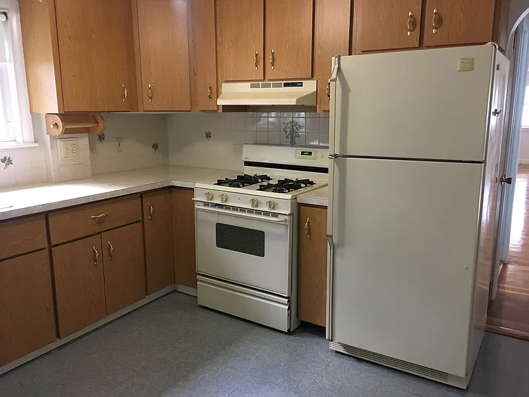 Kitchen stove and fridge