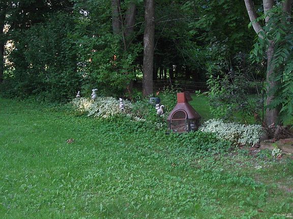 Youman Road-Back yard