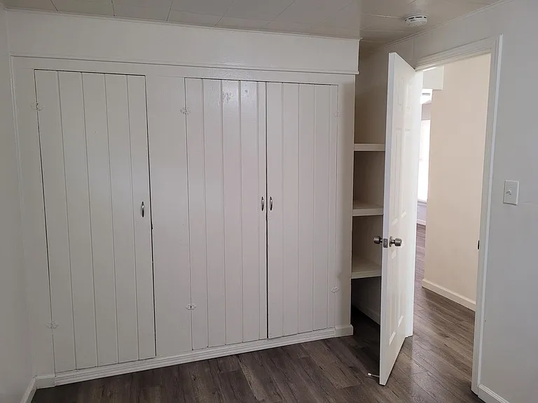 Bedroom 1 - Closets and shelving.