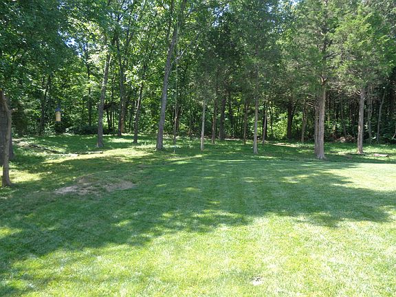 Rear Wooded Area