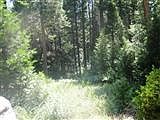 5th image of Rock Shelf Lot 21